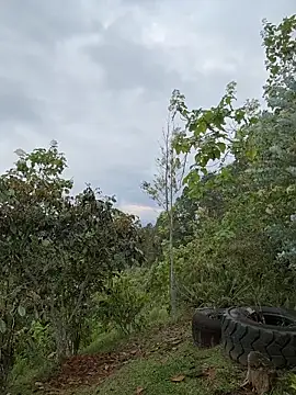 Rose-andres live sex cam