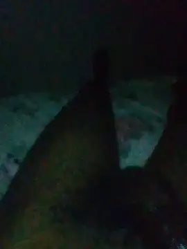 dicksosmall live sex cam