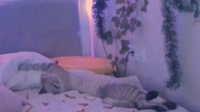 yuna_loon live sex cam