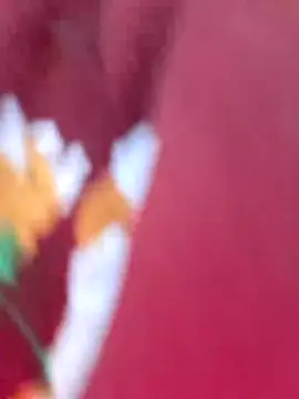 Sweed-virgin-pussy live sex cam