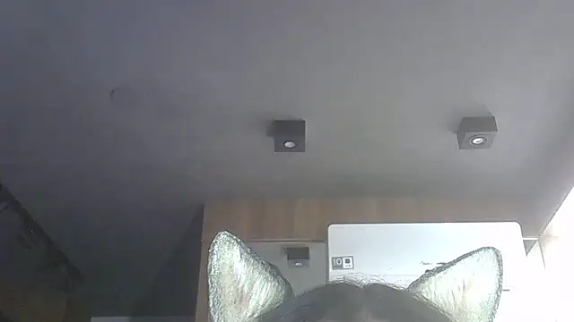 SkinnyKitten live sex cam