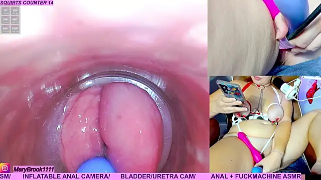 MaryBrook1 live sex cam