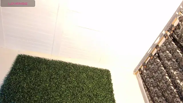 sam_ford_2 live sex cam