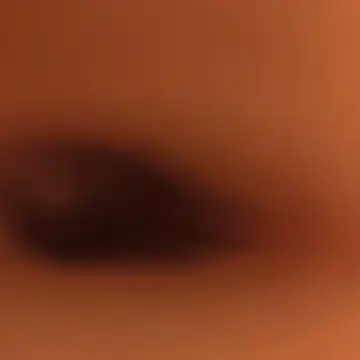 Geilerboy262 live sex cam