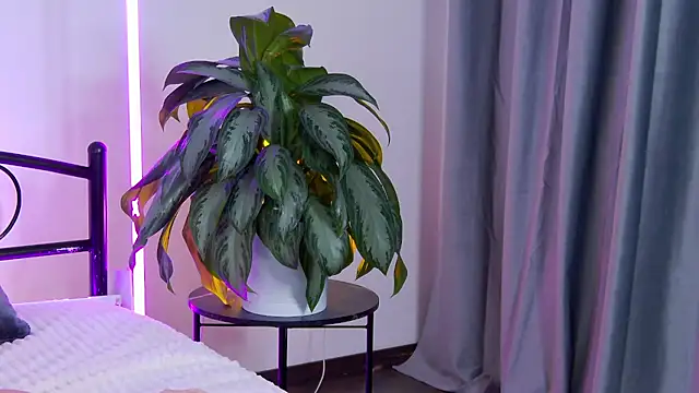 Maytaai live sex cam