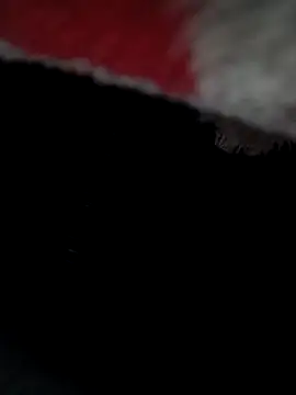 cusicat live sex cam