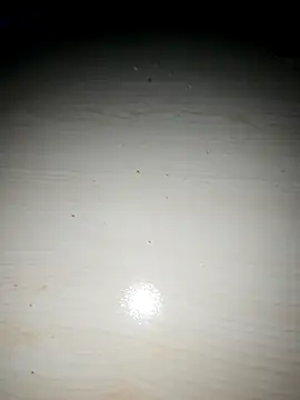 RuiningAnnals live sex cam