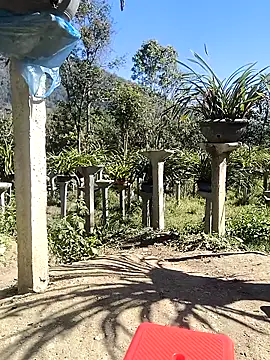 Sweetlove_77 live sex cam