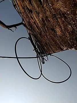 Pooja_hote live sex cam