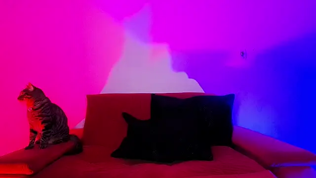 irregular_fetish_ live sex cam