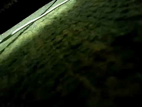 sanek1995sexx live sex cam