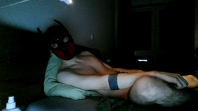 MolleDolle live sex cam