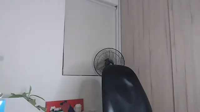 felipelopezz23 live sex cam