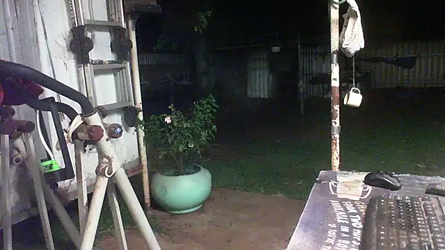 herbie010666 live sex cam