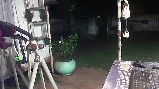 herbie010666 live sex cam