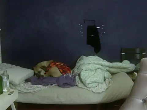 turkishTransEfsun live sex cam