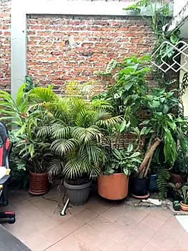 Mike_savage3 live sex cam