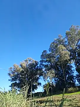 seloloko20 live sex cam