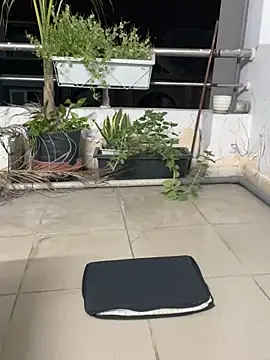 anhkiet_huang live sex cam