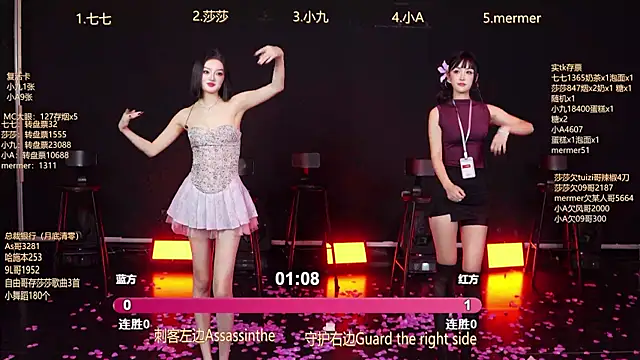 SK010's cam snapshot