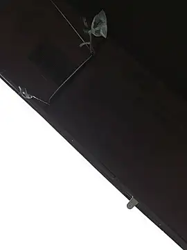 HTXBELLE live sex cam