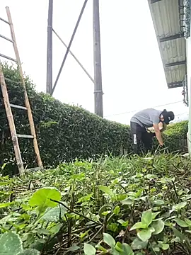 Jestebandiaz07 live sex cam