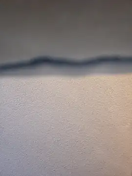 Roddog18 live sex cam