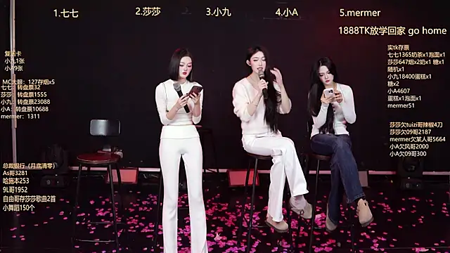 SK010's cam snapshot