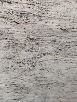 hot_plak's cam snapshot