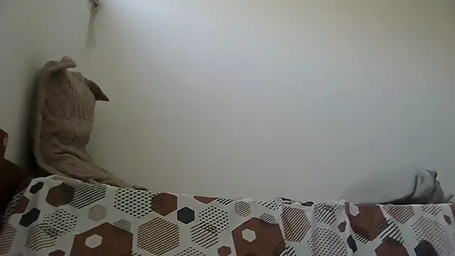 JUNINHOLEKEJR live sex cam