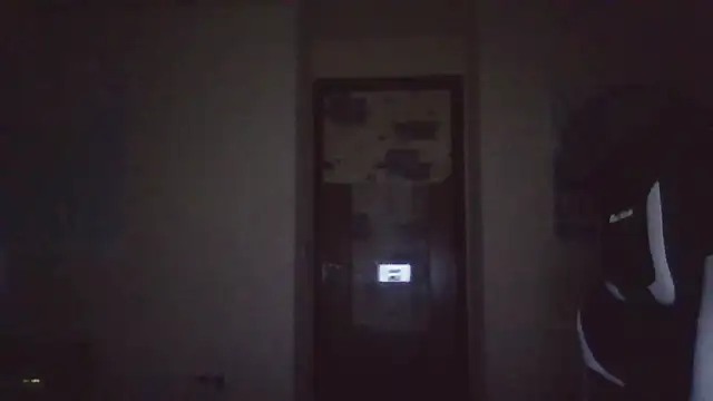 llopaco live sex cam