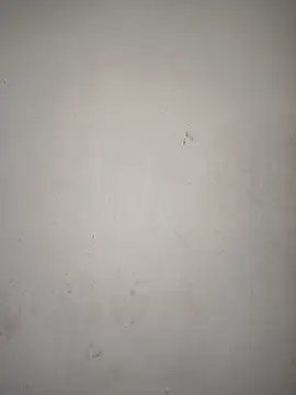 7_inch_sunni live sex cam