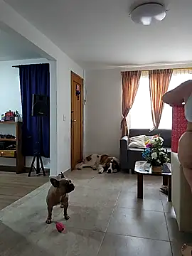 RachellGraham live sex cam