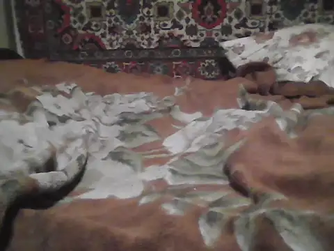 AlferezzSolvajo live sex cam