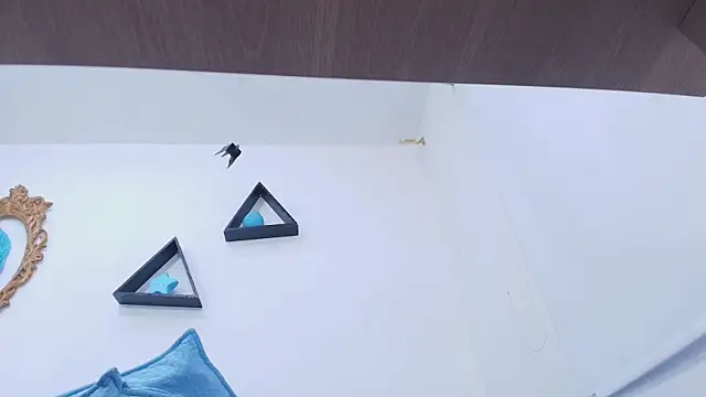 timkerbell_ live sex cam