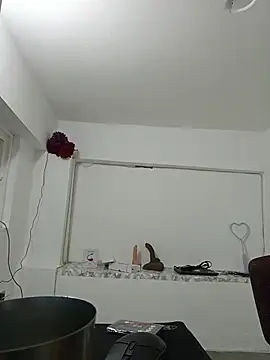 Ladyswap live sex cam