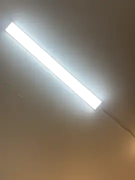 alicee16 live sex cam