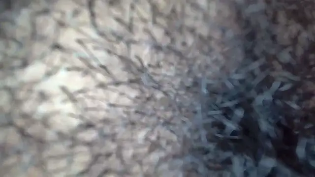 white_sexy_ live sex cam