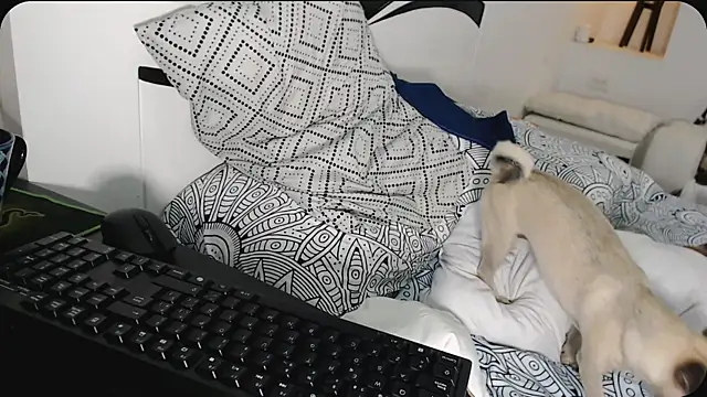 yina-rosse live sex cam