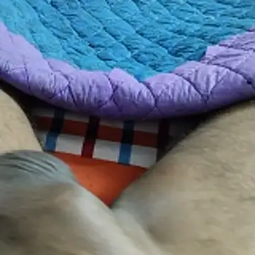 desi_pb02 live sex cam