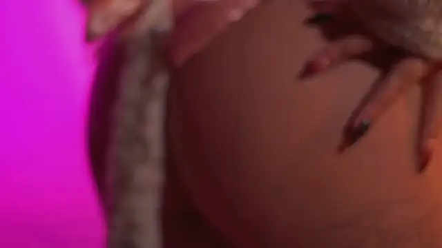 Little_vel live sex cam