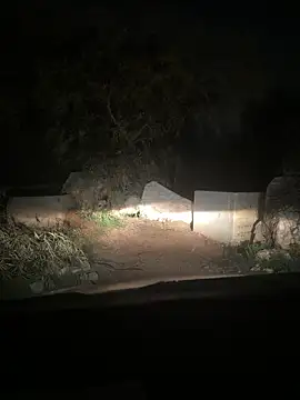 KstnSrg19 live sex cam