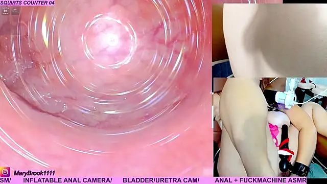 MaryBrook1 live sex cam