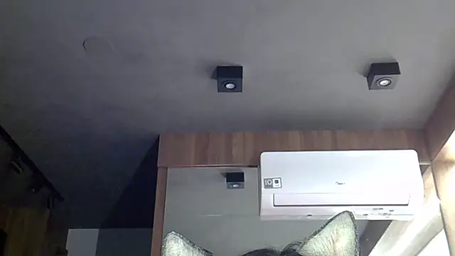 SkinnyKitten live sex cam