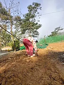 Tin_tanny live sex cam