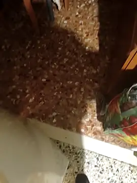 Balu0412 live sex cam