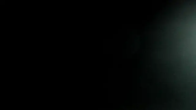 evanscollins live sex cam