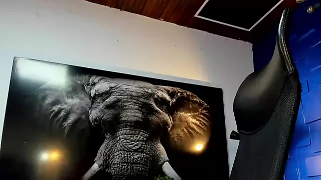 king_falconer live sex cam