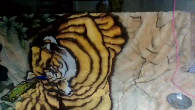 sellvageria live sex cam