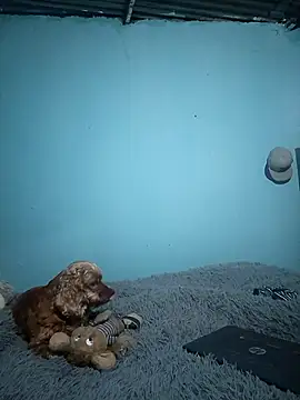 Ariell_Kieran live sex cam